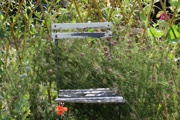 Chaise au milieu des herbes hautes